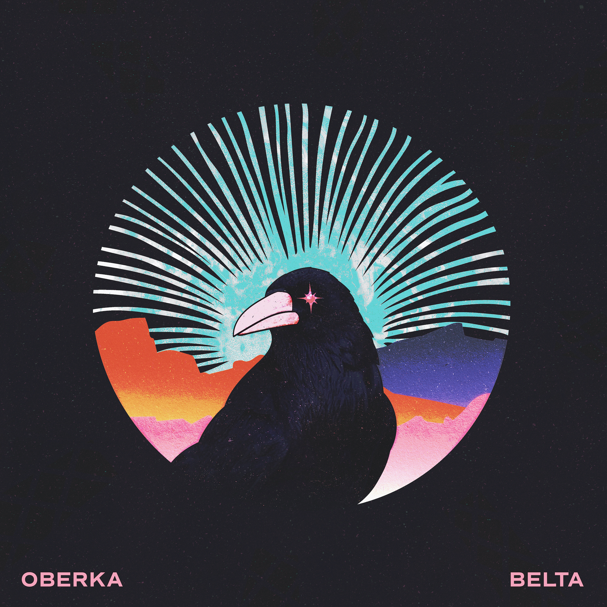 Oberka <br> BELTA